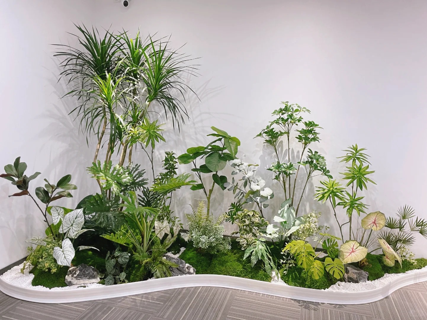 余姚植物租摆,为办公区域注入满满生机